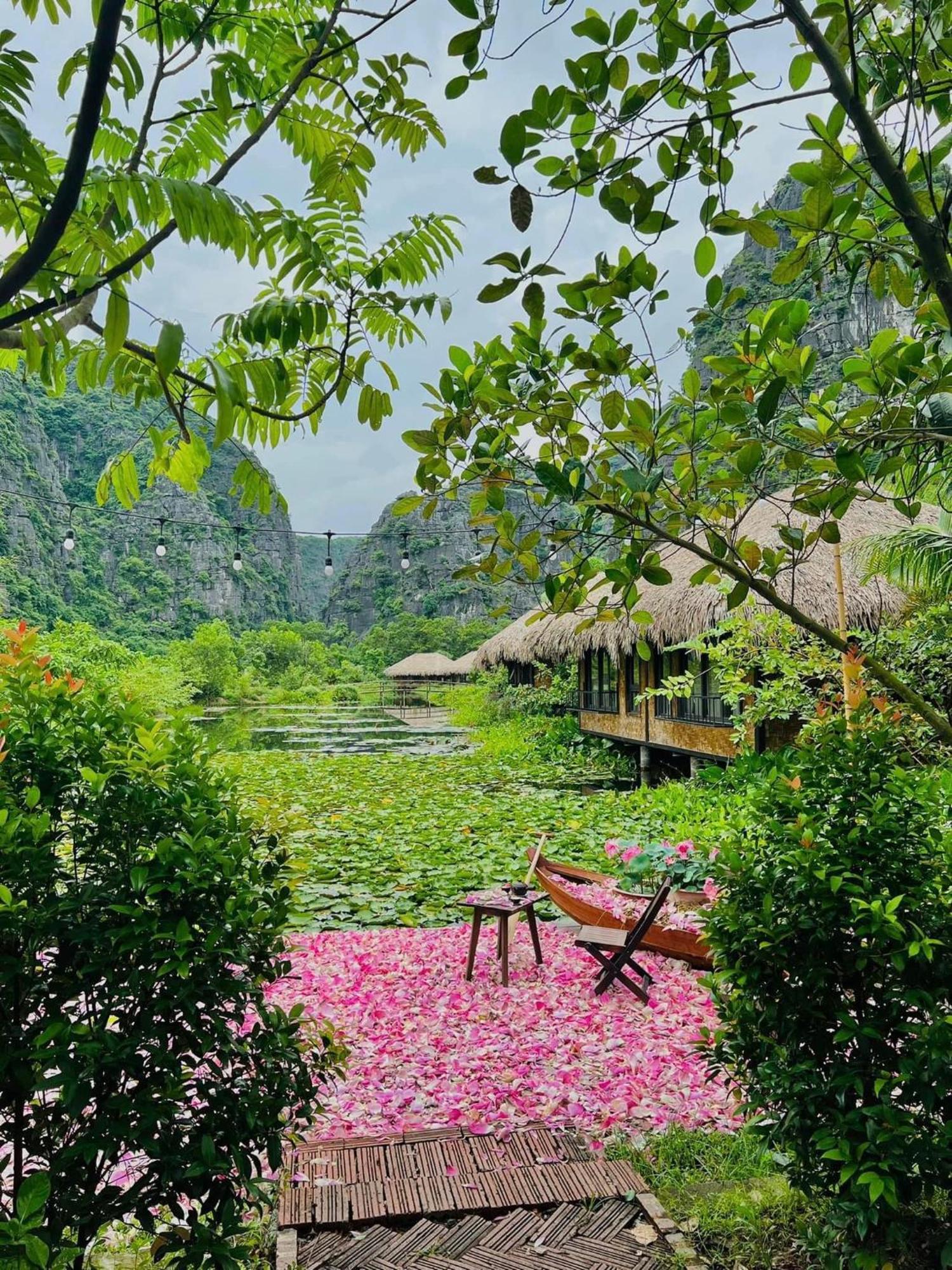 Halise Home And Retreat Ninh Binh Eksteriør billede
