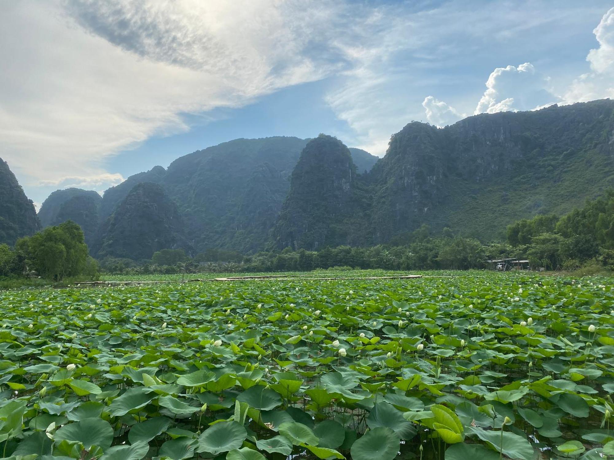 Halise Home And Retreat Ninh Binh Eksteriør billede