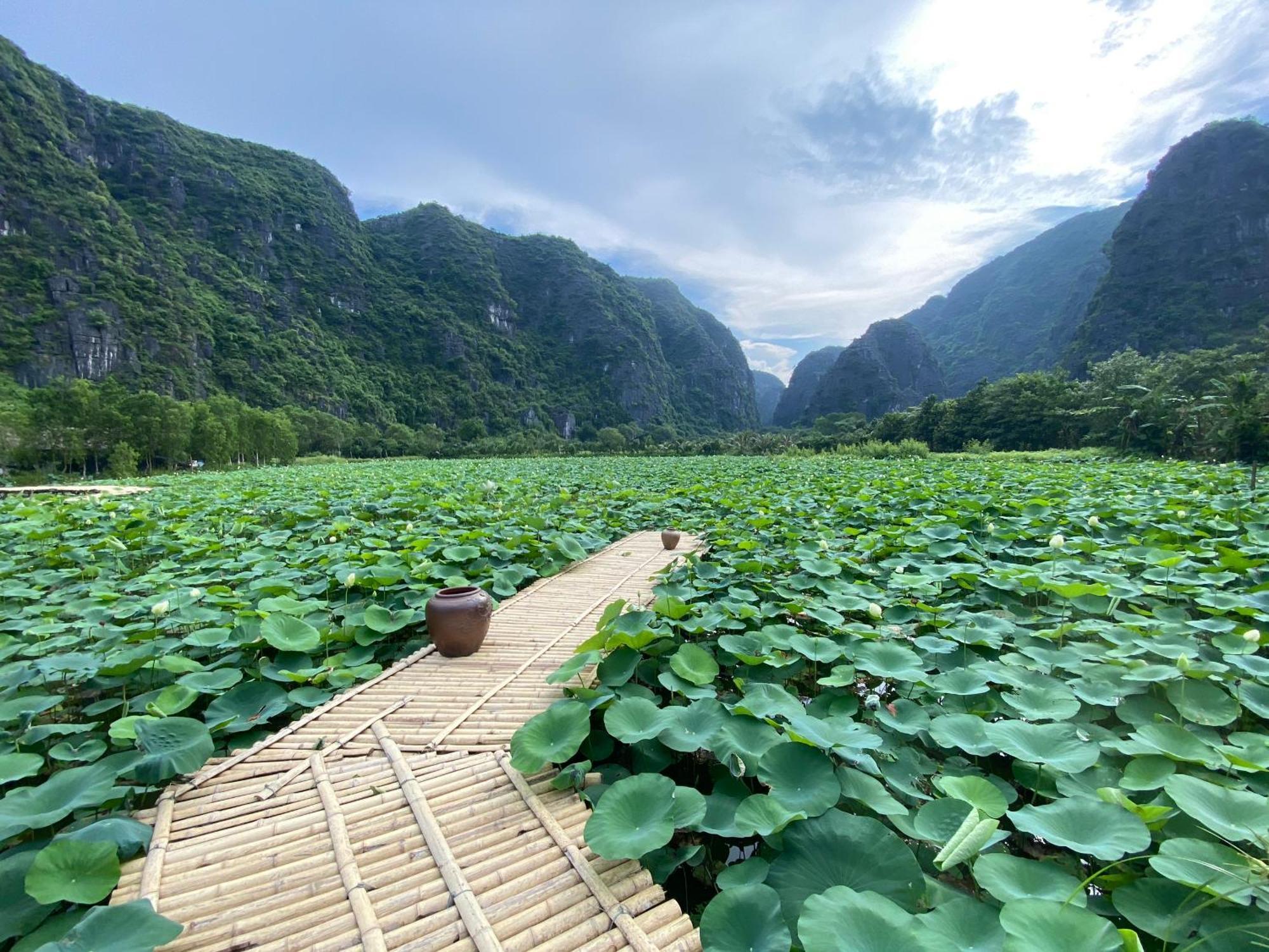 Halise Home And Retreat Ninh Binh Eksteriør billede